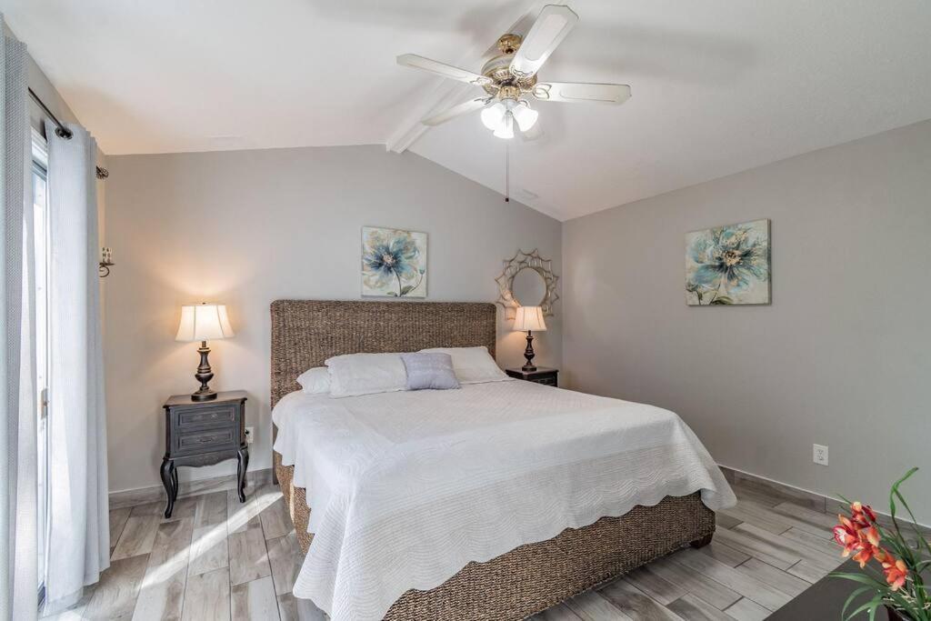 탬파 Town 'N' Country Cozy Corner, Your Florida Fun Hub 빌라 외부 사진